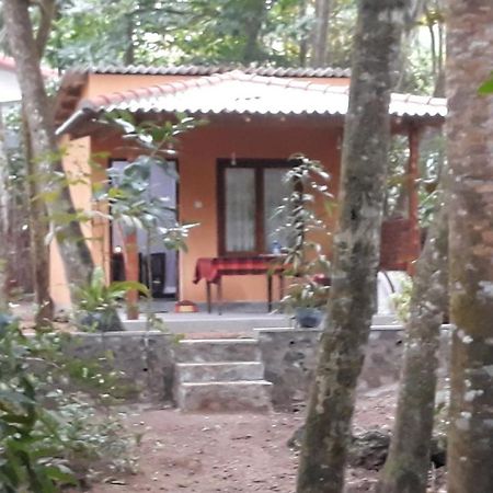Freedom Villa Hiriketiya 迪克韦勒 客房 照片