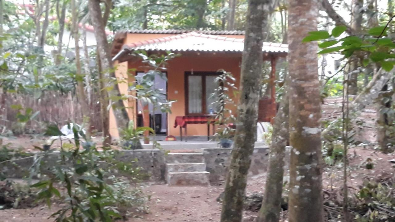 Freedom Villa Hiriketiya 迪克韦勒 客房 照片